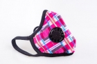 Exploiting China’s High-end Anti-pollution Mask Market