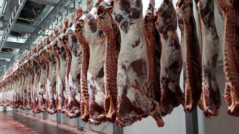 China’s Safeguard Investigation into Imported Beef